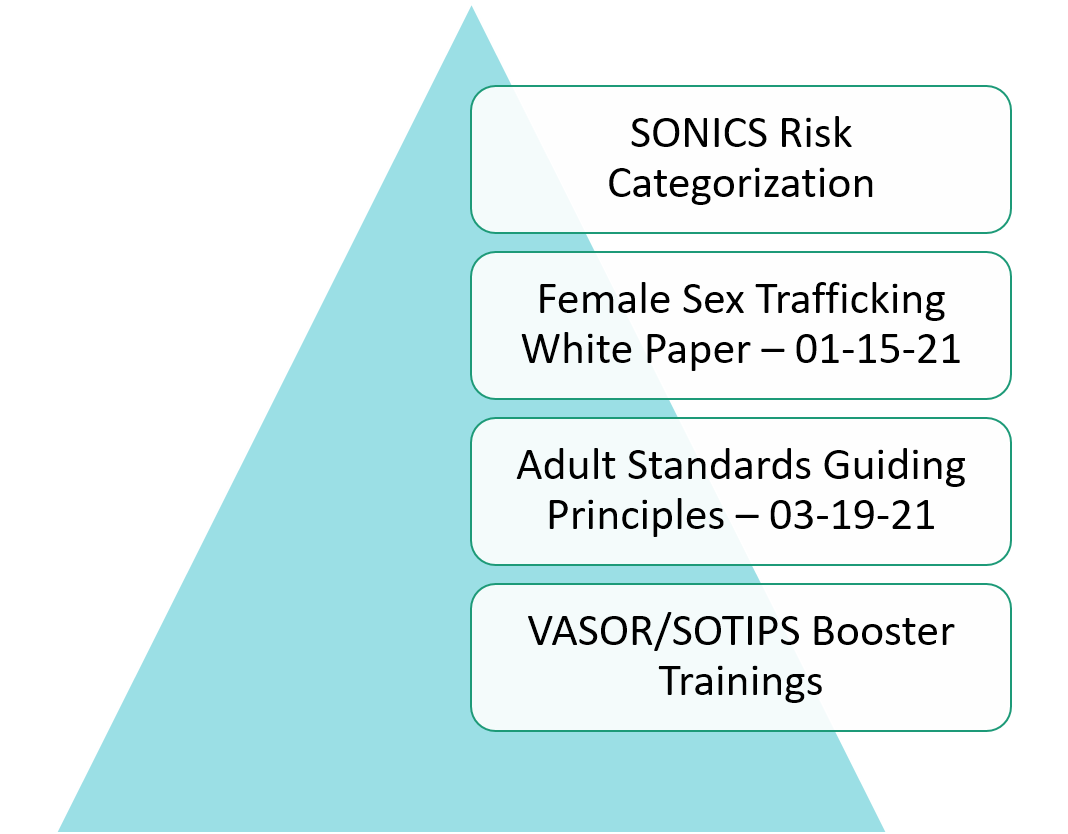 triangle showing steps in policy development