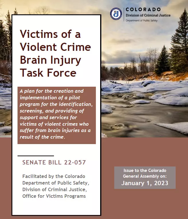 Cover page image from Brain Injury Task Force Report